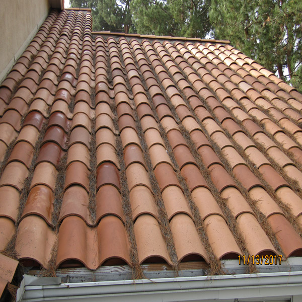 Roof Debris Cleaning & Rain Gutter Cleaning