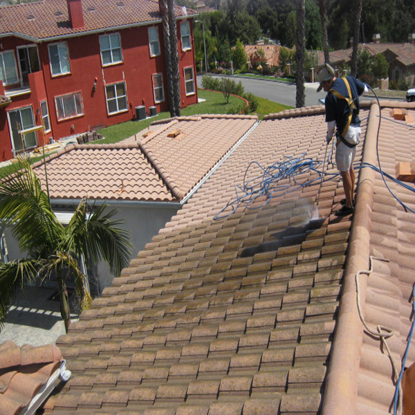 Roof Cleaning Tech