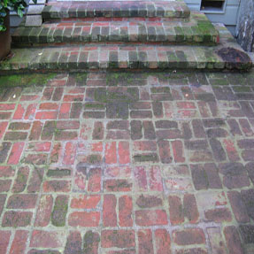 Pressure Washing Surface Cleaning